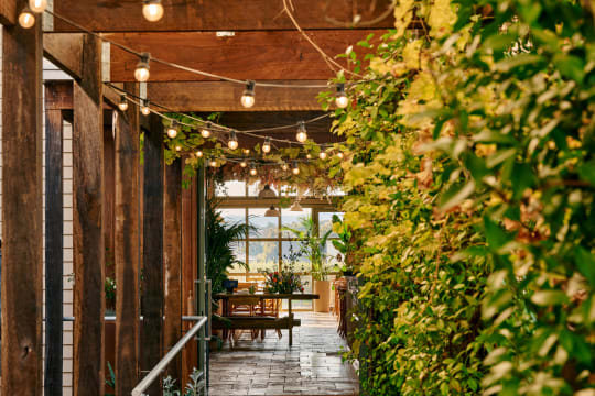 ​ROOFTOP RESTAURANT & EVENTS VENUE – BURWOOD EAST