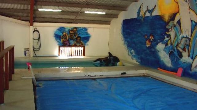 KIDS SWIM SCHOOL FOR SALE IN BEAUTIFUL BYRON BAY AREA