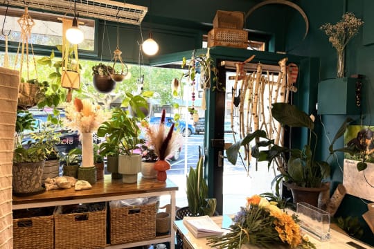 LEASEHOLD - Seed & Bloom Flower Store, Wangaratta - 1P0586