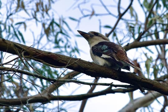 Zmri6c7ohvqkkcdvjofs