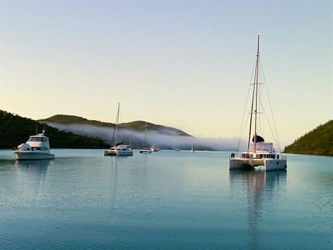 Zn65btnstqtemyve7fyu