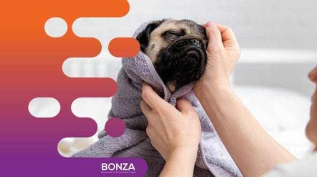 35061 Thriving Dog Grooming Business in Prime Location