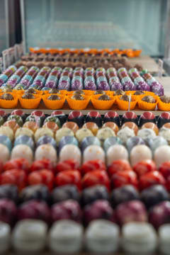 CHOCOLATE SHOP in Cairns - Best part? You don't need to make Chocolates!