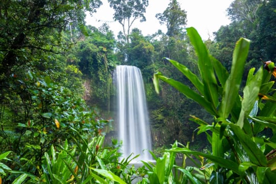 BUSINESS FOR SALE: FAR NORTH ESCAPES - PREMIER ADVENTURE TOUR OPERATOR IN FAR NORTH QUEENSLAND – ...