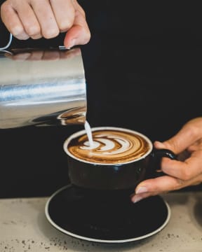 Zsxo45rjn1nhxsuc0tez