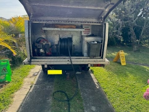 Pest Control - Termite Inspections / Management – Central Coast, NSW