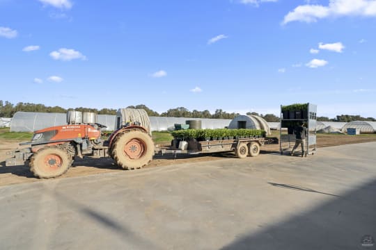 Zuu2tlgh6ppxsyoirvdr