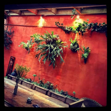 Chattel Sale - Beautiful Restaurant in Carlisle St - St Kilda