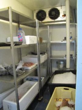 Westernport Fresh Fish & Seafood