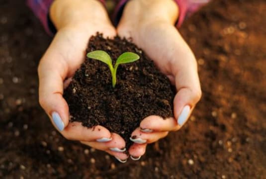 Zwnqqqynweoizzk9pp6d