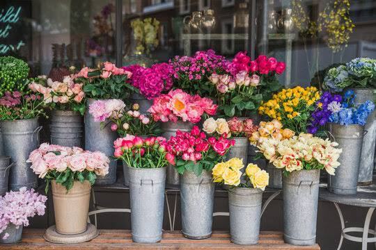 Established Florist for sale in Bentleigh area