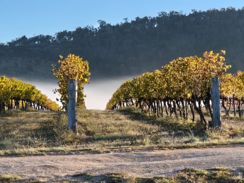 Huge Upside Well Established Business and Property - 2890CF