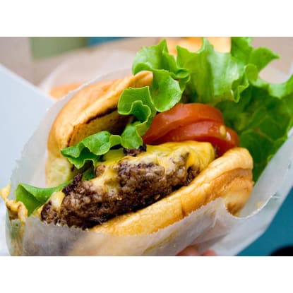Fantastic New Fast Growing Burger Franchise - 6312