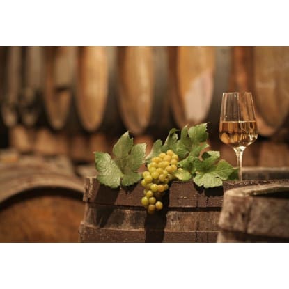 Freehold Vineyard, Land & Accommodation Business for Sale #3193