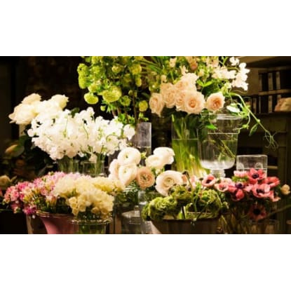 FLORIST -- NORTHERN SUBURB -- #3923173
