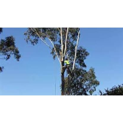 Tree Lopping Business - Mornington Peninsula - 36290
