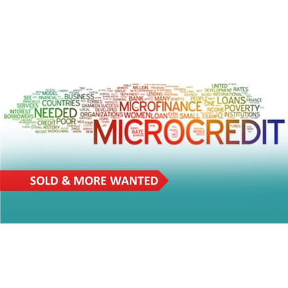 SOLD & MORE WANTED: Micro Lending / Financial Services Business for Sale ST1317