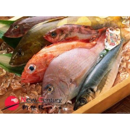 FRESH FISH -- PRESTON -- #6462326