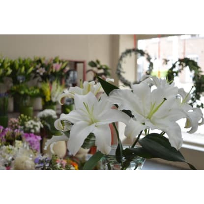 Established Florist Business For Sale, Malvern East
