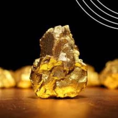 Gold Mining Company - North Central Victoria - 36696
