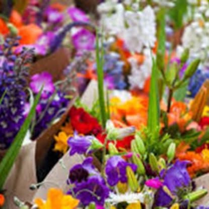 Giant florist for sale BL-0681