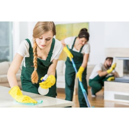 Cleaning services business