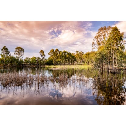 77.92 Hectares & Large Lowset Home 10 mins from Kingaroy