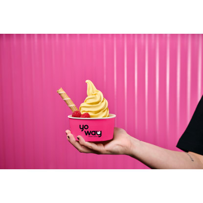Yo Way Franchise: Unleash Your Entrepreneurial Spirit