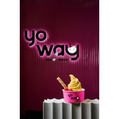 Start Your Own Yo Way Frozen Yogurt Business – Apply Today!