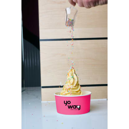 Own a Yo Way Frozen Yogurt Franchise – Join the Fro-Yo Revolution!