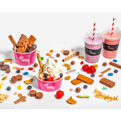Invest in Yo Way: Premium Frozen Yogurt Franchise Opportunities