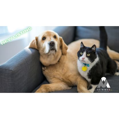 All Animal Minding Service – Prime Business Opportunity in Canberra!