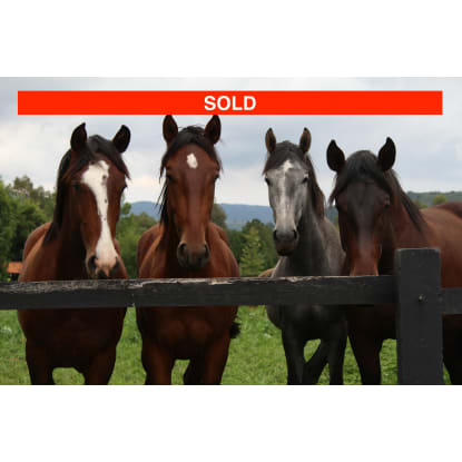 SOLD: Animal produce store