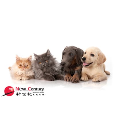 PET GROOMING & PET SUPPLIES -- MELBOURNE -- 1P9647