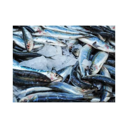 Seafood Group- offering Australia