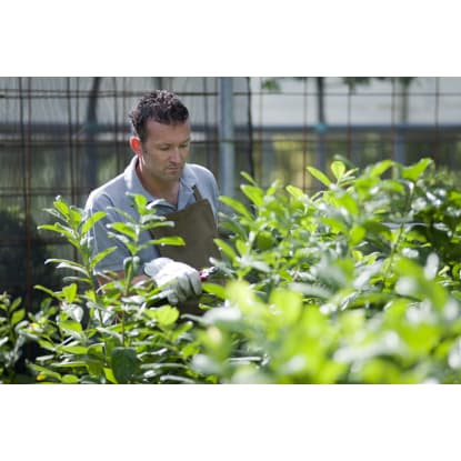 Freehold Production Nursery & Residence - SEQ  - Quality Operation