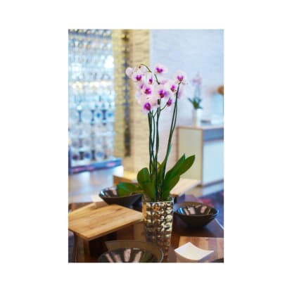 Thriving Florist Franchise Business For Sale In Sunshine + Fraser Coast Qld