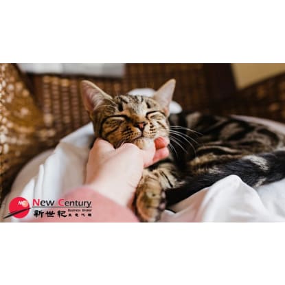 PET BOARDING & PET SHOP -- OAKLEIGH -- 1P10029