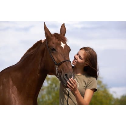 Million Dollar Sales, Animal and Pet Products #347