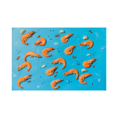 Aquaculture Farm - Under Management