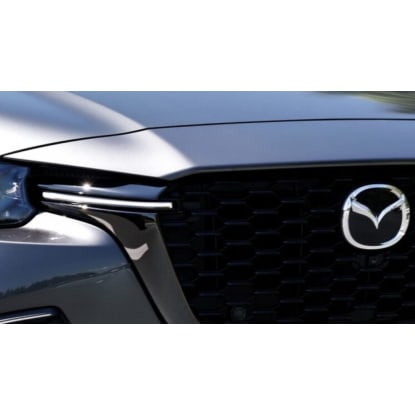 CAR RENTAL BUSINESS FOR SALE IN NORTHERN SUBURB OF MELBOURNE $250,000 +SAV