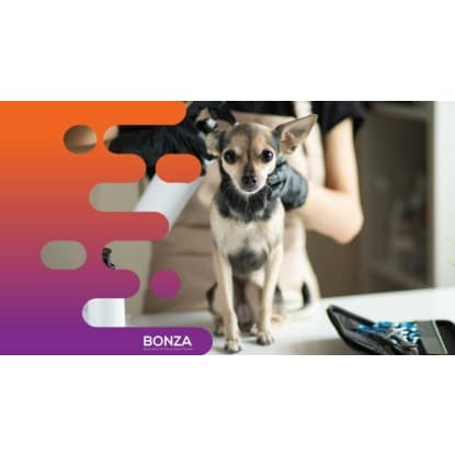 34576 Exciting Opportunity: Turnkey Mobile Dog Grooming Service
