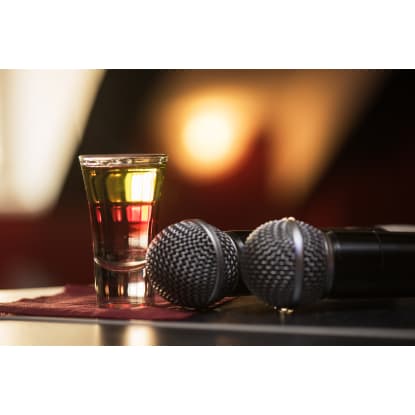 Once In a Lifetime Opportunity- Profitable Karaoke Bar *Near Mt Waverly [2206162]
