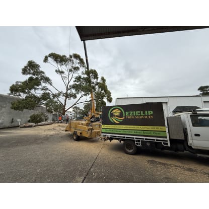 Turnkey Tree Service Business - Equipment, Team & Lead Engine Ready to Scale