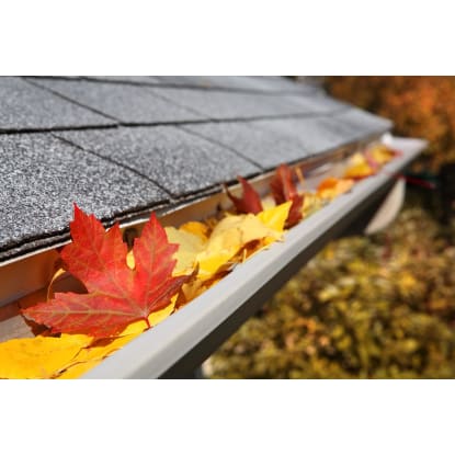 Highly Profitable Gutter Cleaning Business
