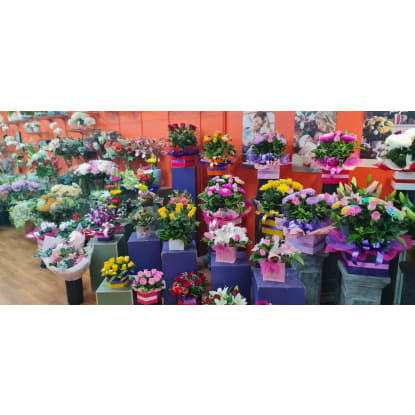 GLADSTONE PARK FLORIST FOR SALE