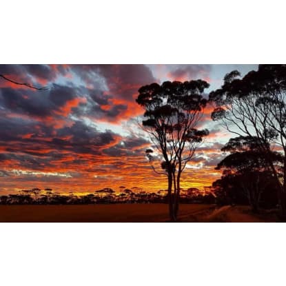 Mingenew Springs Caravan Park