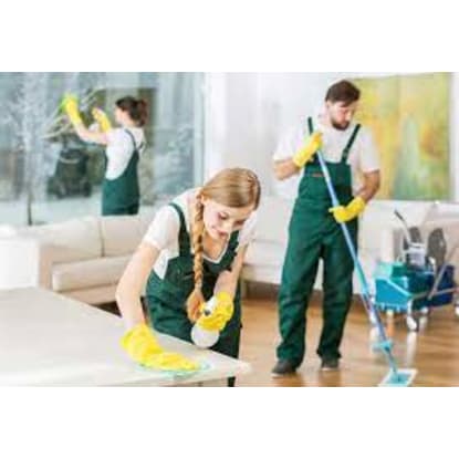 Residential Cleaning Business