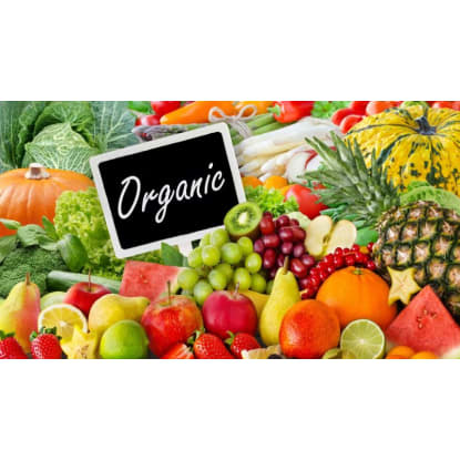 Organic Food Store - Easy To Manage - 37304