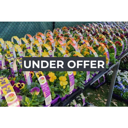Invest and Grow with Easy Colour Wholesale Nursery